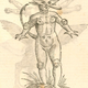 Illustration for article titled The Most Grotesque Humanoid Monsters of the Early Modern Age